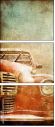32175837