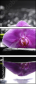 32225691