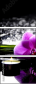 32250117