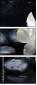 32251345