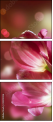 32312026