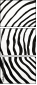 324703304