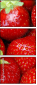 3269949