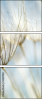 32821180