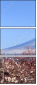 32966670