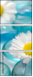 33105432