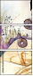 33363025