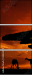 33526159