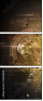 34266129