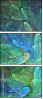 35114270