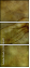 35198447