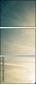 35316954