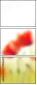 35616478