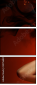 35756835