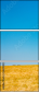 366904333