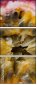 36705995