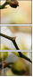 37764632
