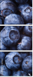 38114663