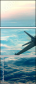 38251844