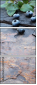 38310758