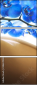 38624938