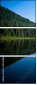 38760688