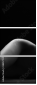 38857159