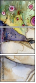 38913285