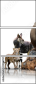 39202721