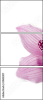 39612007