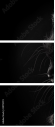 39713173