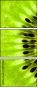 39788047