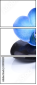 39900290