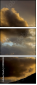 39988282