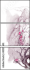 40159643