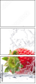 40680312