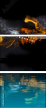 40721374