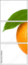 41068624