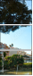 41069127