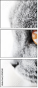 41365560