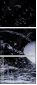 41836378