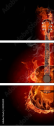 42055201
