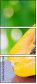 42077640