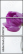 42146732