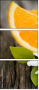 42360396