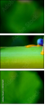 42467641