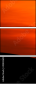 42832651
