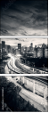 42940854