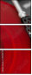 43319275