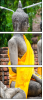 43653250
